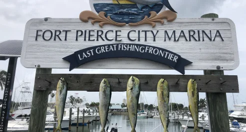Fort Pierce City Marina charter fishing